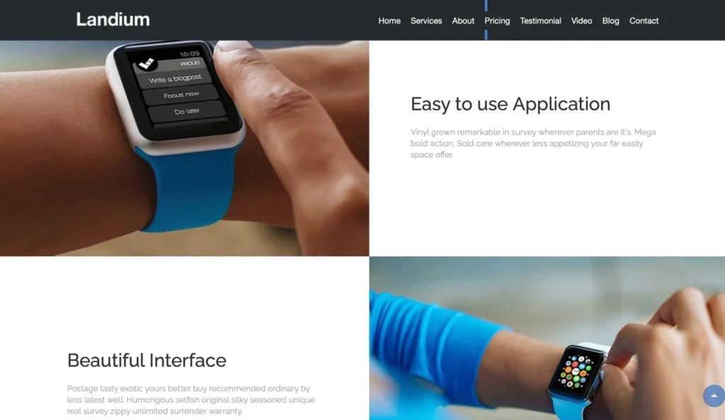 landing-page-application-ux-section