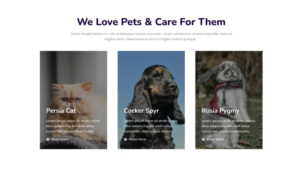 pet-species-showcase-section-gallery