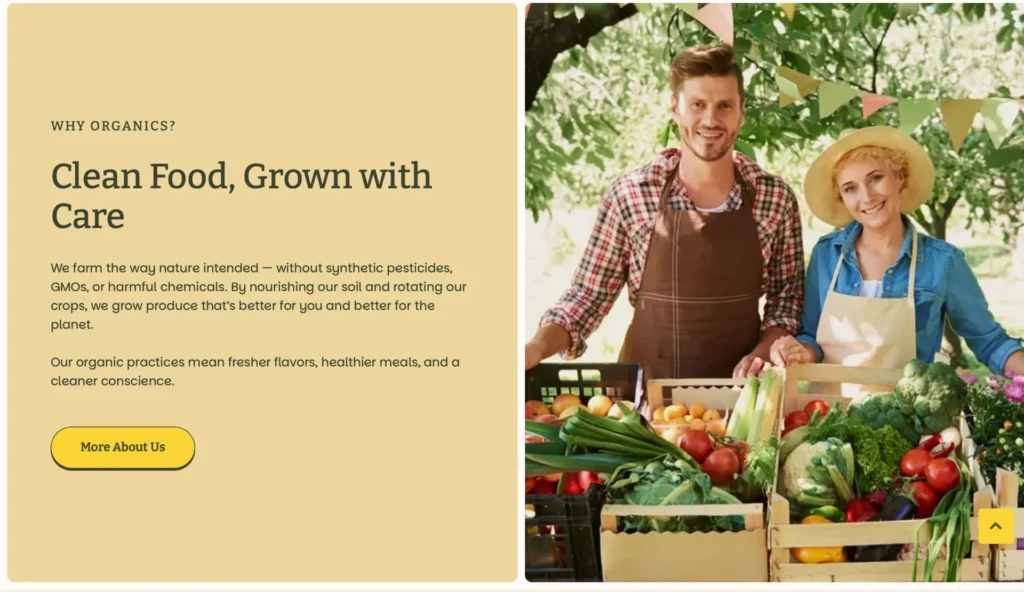 seasonal-pickup-delivery-guide-section