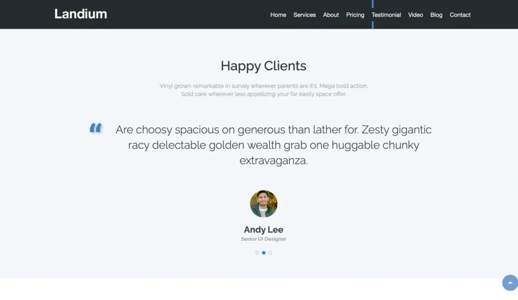 testimonial-section-ui-designer-review