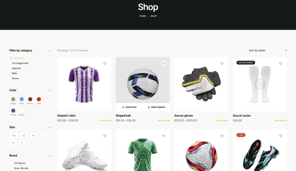 up1301-professional-sports-club-wordpress-website-2