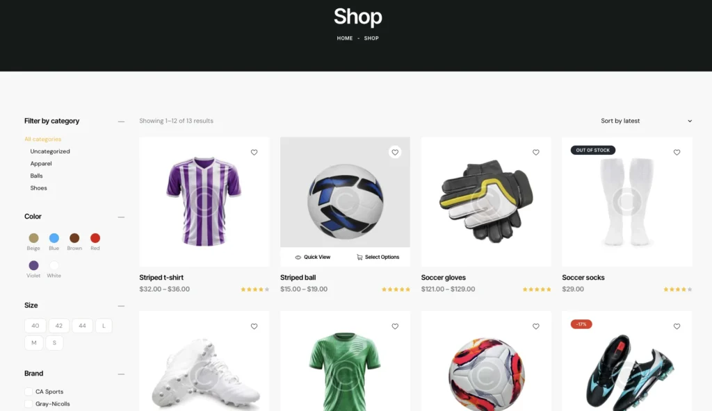 up1302-football-championship-site-wordpress-website-3