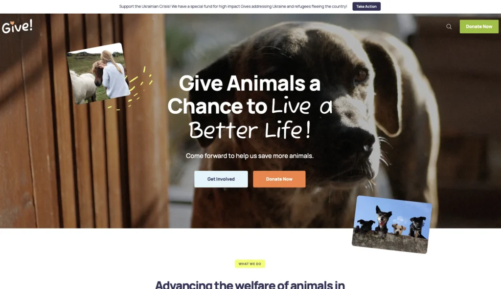 up1491-animal-rescue-care-wordpress-website-10
