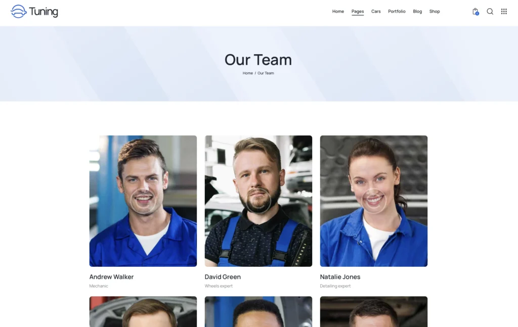 up1545-auto-accessories-store-wordpress-website-2