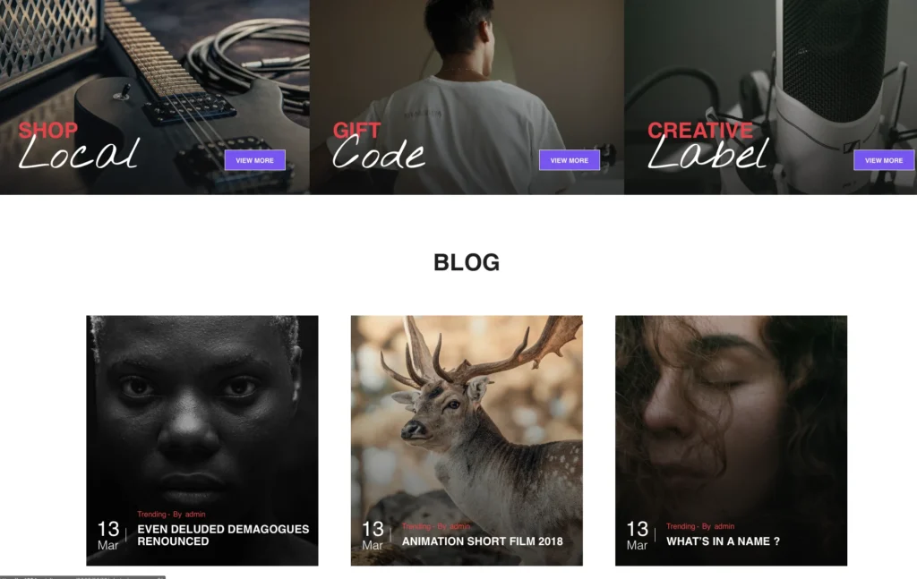 up1554-music-store-wordpress-website-5