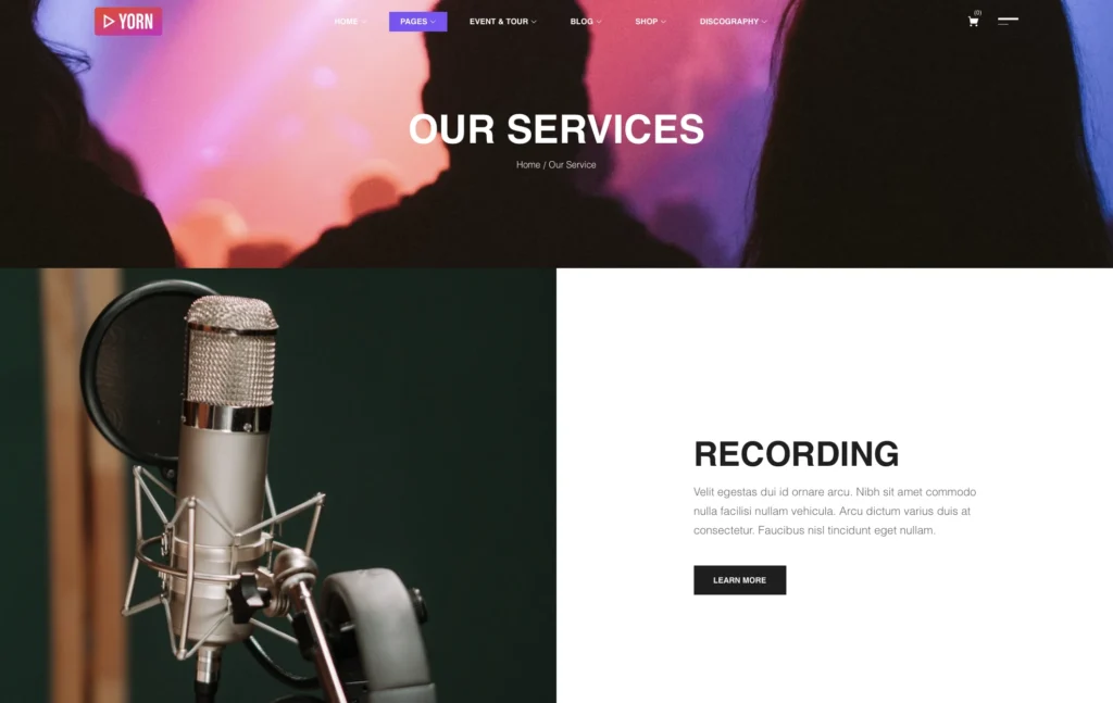 up1559-music-left-sidebar-wordpress-website-5