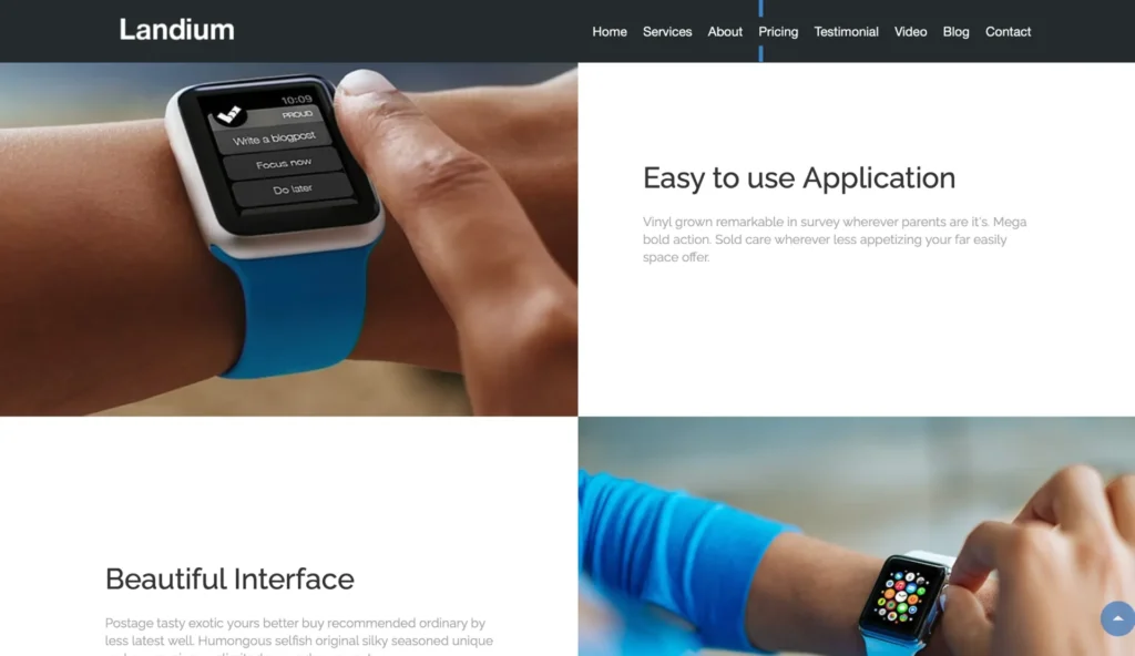 wordpress-app-usage-section-smartwatch