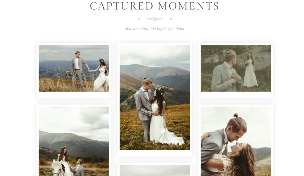 wordpress-ceremony-location-map-section