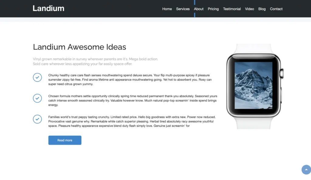 wordpress-landing-page-info-layout