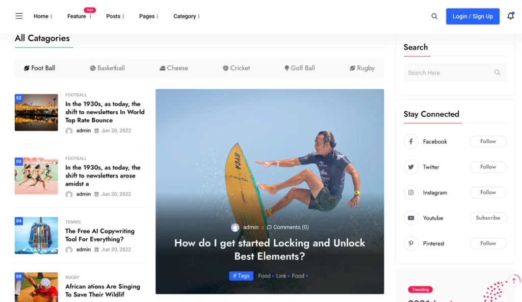 wordpress-magazine-surfing-feature-section