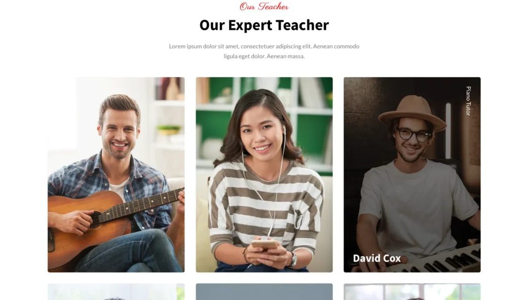 wordpress-music-teacher-profile-section