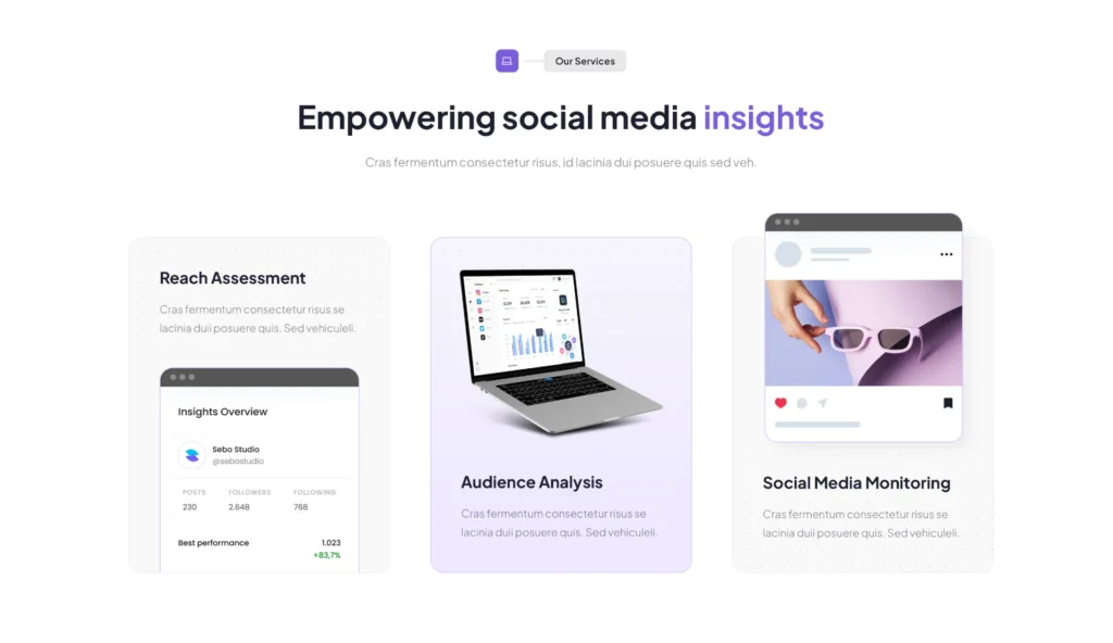 wordpress-social-media-insights-showcase