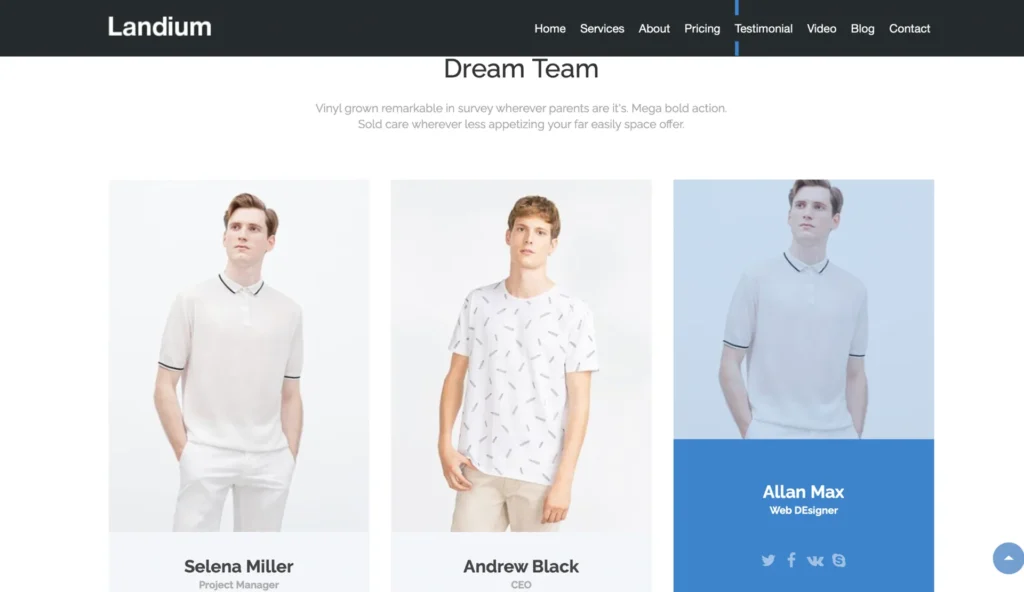 wordpress-team-members-clean-layout
