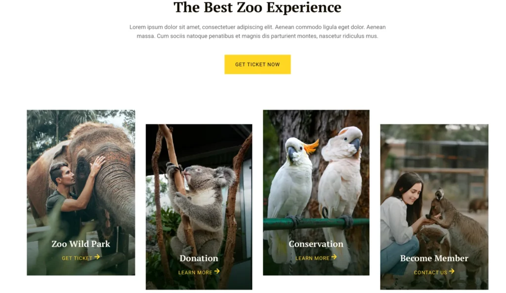 wordpress-zoo-experience-service-gallery