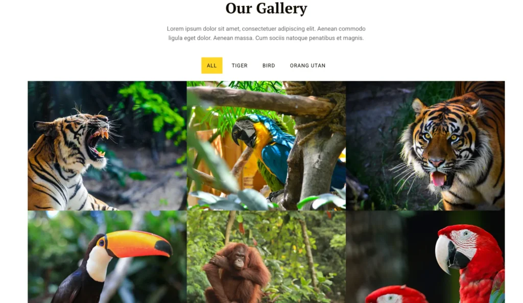wordpress-zoo-gallery-animal-collection
